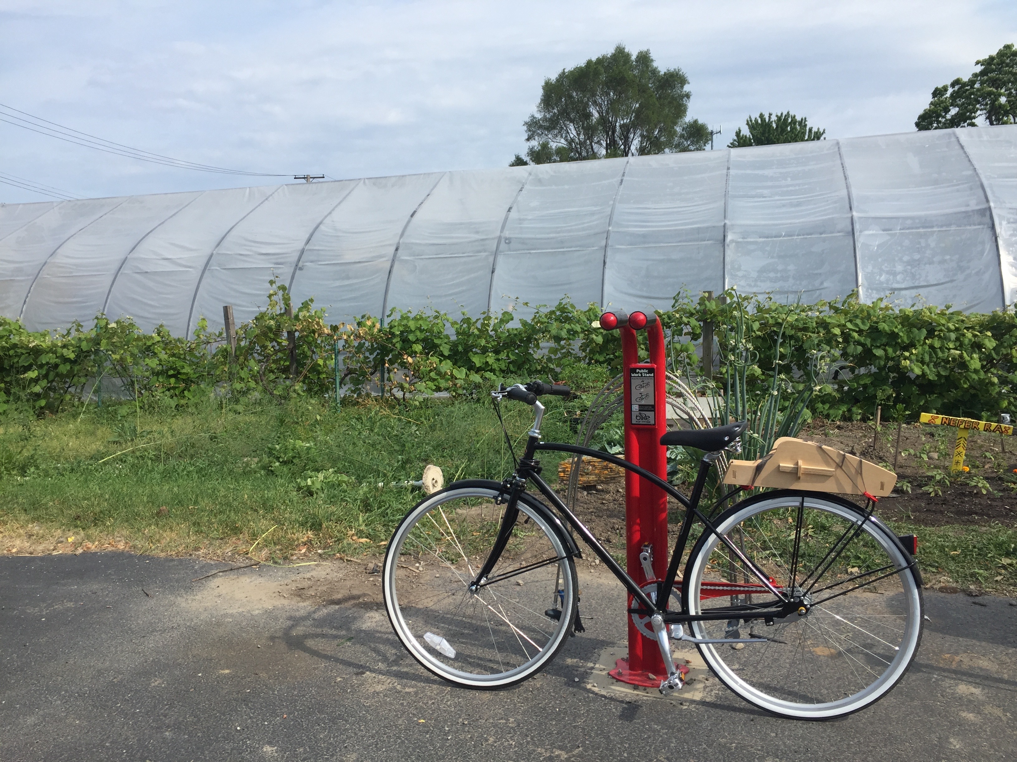 Red bike prompted up against a bike repair station. Green vegetation and a covered green house behind the bike.  